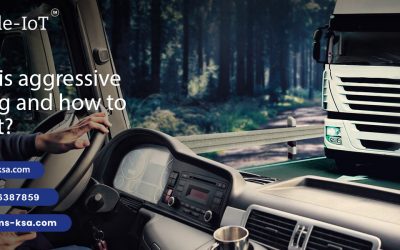 What Is Aggressive Driving and How to Curb It?