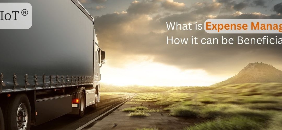 What is Expense Management and How it can be Beneficial for Fleet?