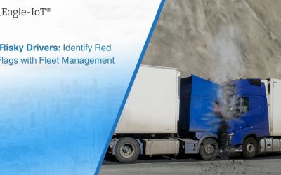 Risky Drivers: Identify Red Flags with Fleet Management
