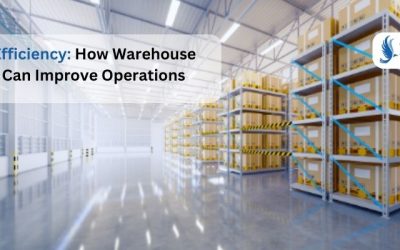 Maximizing Efficiency: How Warehouse Monitoring Can Improve Operations