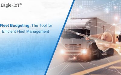 Fleet Budgeting: The Tool for Efficient Fleet Management 
