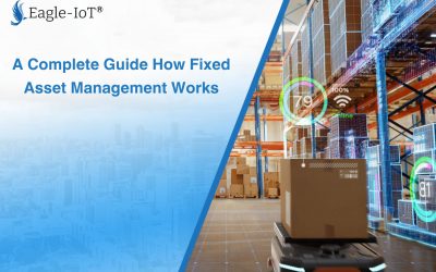 A Complete Guide How Fixed Asset Management Works