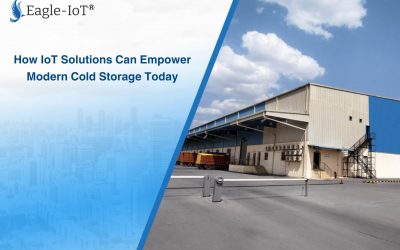How IoT Solutions Can Empower Modern Cold Storage Today