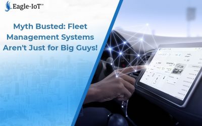 Myth Busted: Fleet Management Systems Aren’t Just for Big Guys!