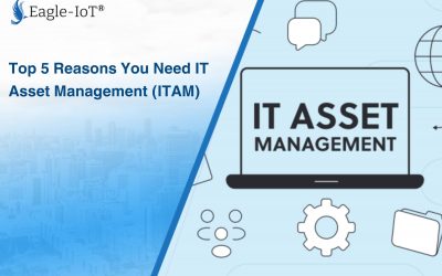 Top 5 Reasons You Need IT Asset Management (ITAM)