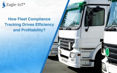 How Fleet Compliance Tracking Drives Efficiency and Profitability?