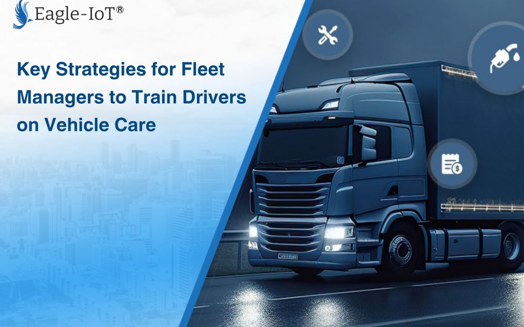 Strategies for Fleet Managers