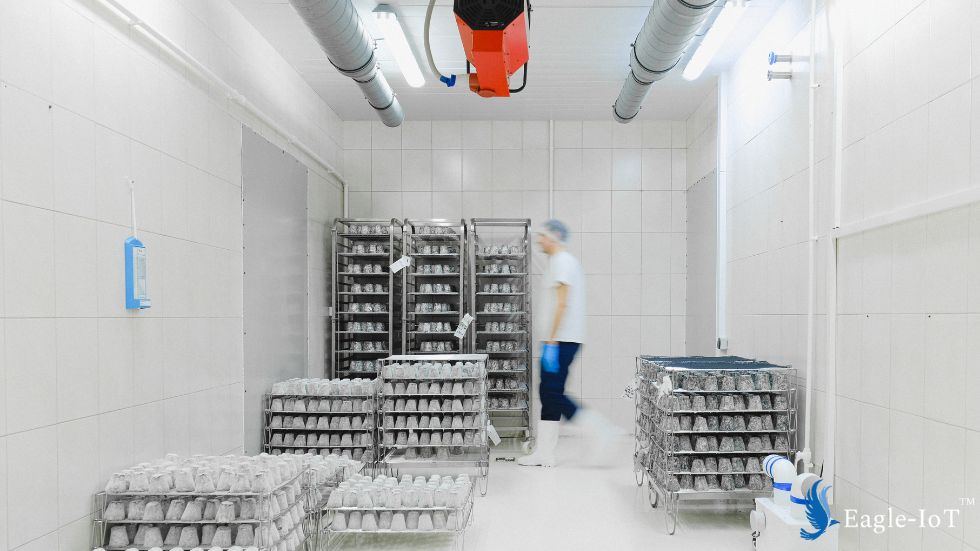 cold chain monitoring
