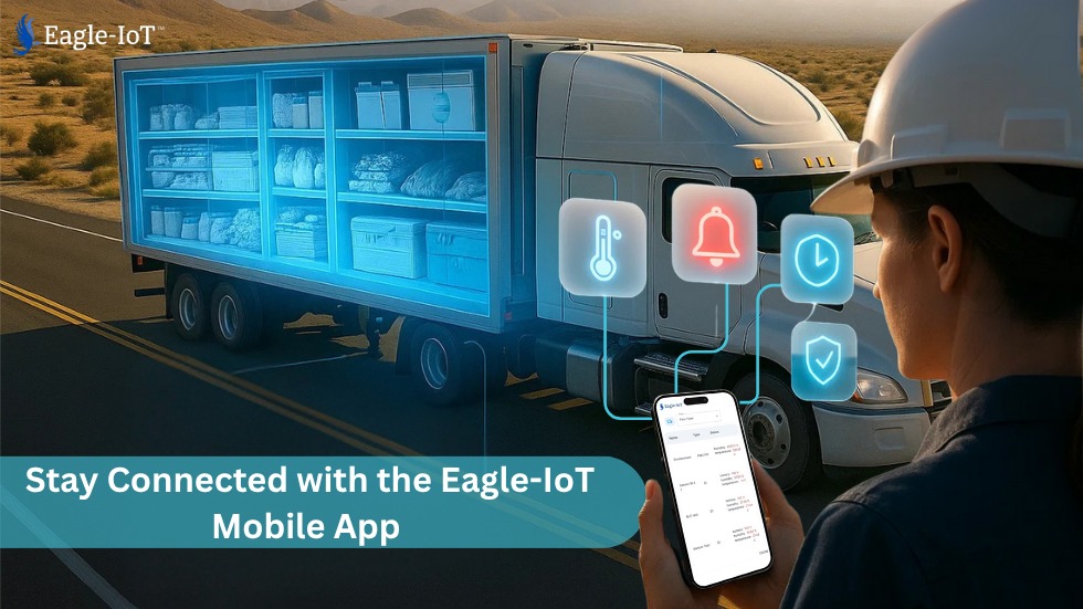 Motorcycle Fleet Management